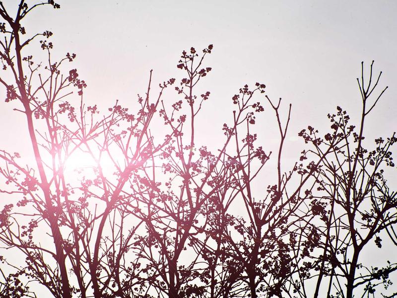 feedback screenshot 2