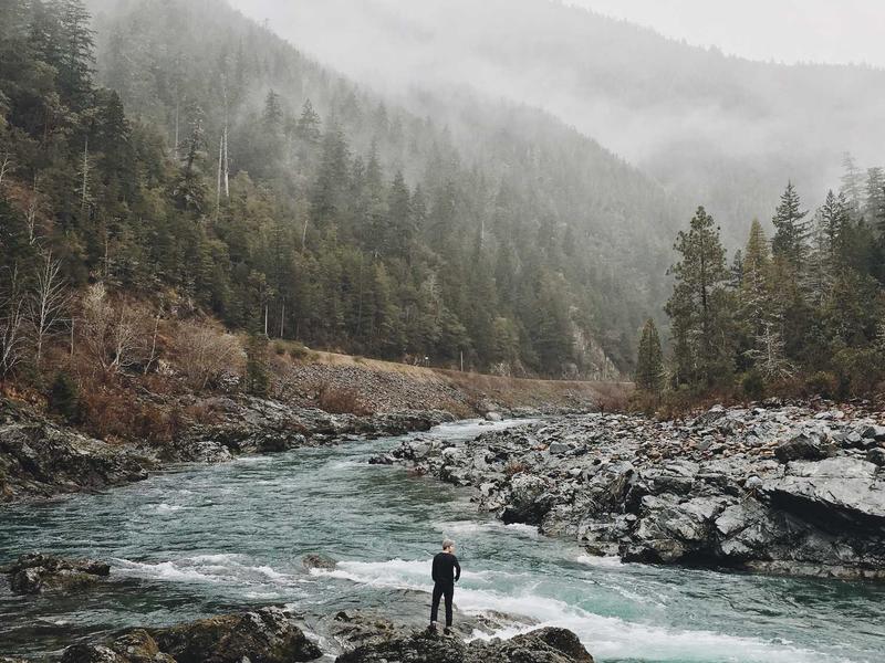 feedback screenshot 3