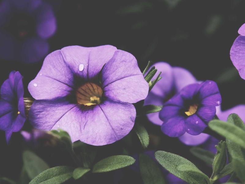 feedback screenshot 5